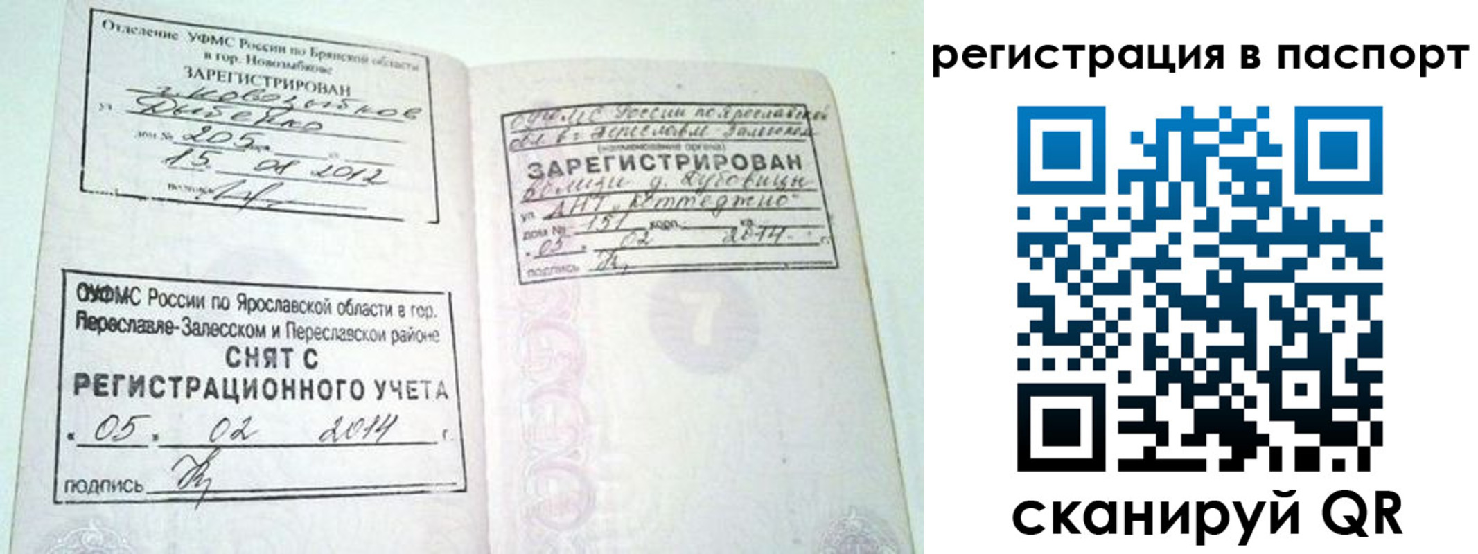 прописка в квартире в Голицыно